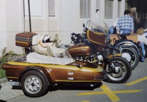 1988 Bassersdorf